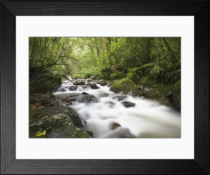 Framed Print : Stream in Kinabalu National Park, Sabah, Malaysia