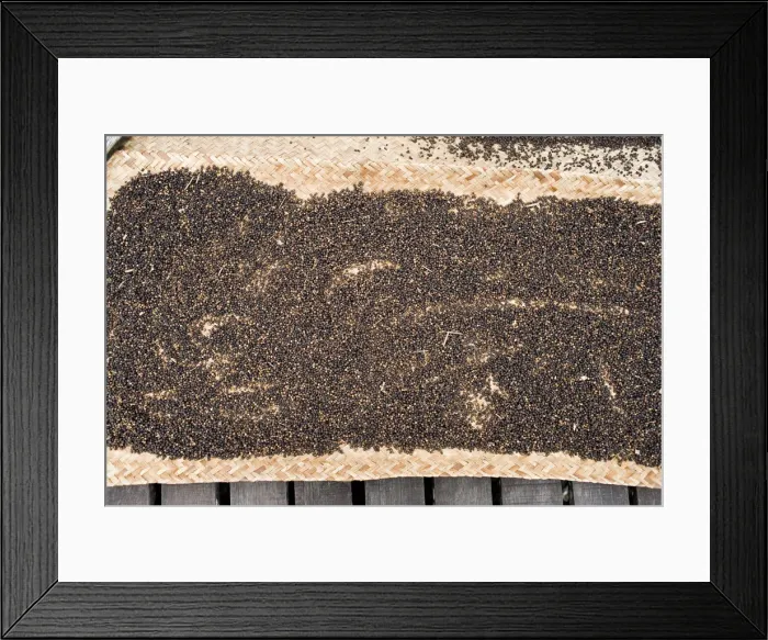 Framed Print : Dried pepper, Sarawak, Borneo, Malaysia Framed Print : Dried pepper, Sarawak, Borneo, Malaysia