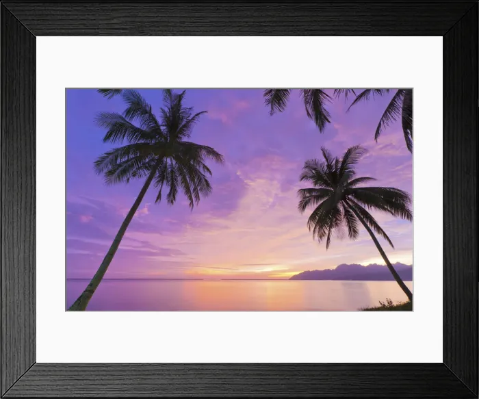 Framed Print : Malaysia, Langkawi, Palm trees at dusk Framed Print : Malaysia, Langkawi, Palm trees at dusk