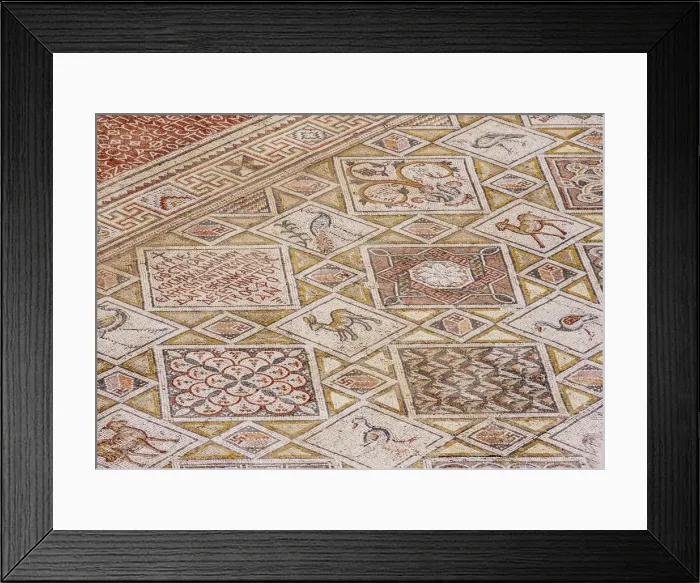 Framed Print : Mosaic Floor in Jerash, Jerash Governorate, Jordan Framed Print : Mosaic Floor in Jerash, Jerash Governorate, Jordan