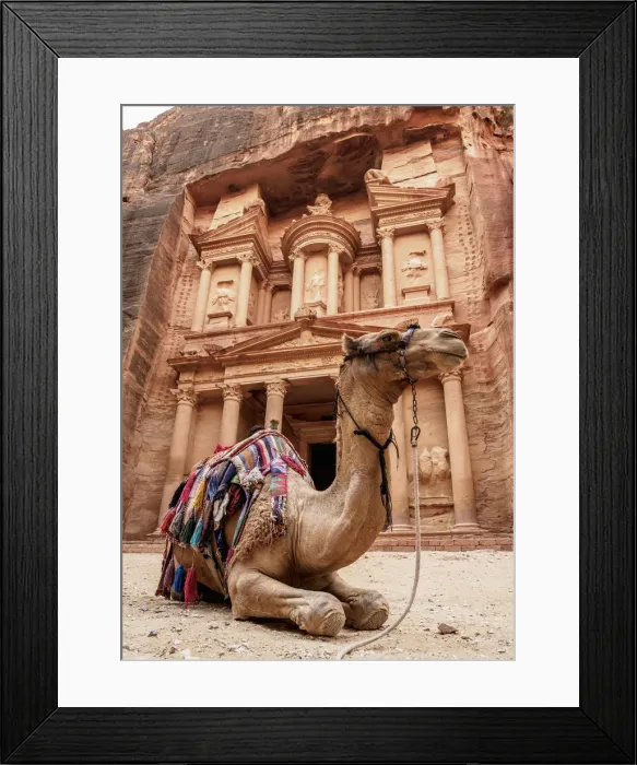 Framed Print : Camel in front of The Treasury, Al-Khazneh, Petra, Ma an Governorate, Jordan Framed Print : Camel in front of The Treasury, Al-Khazneh, Petra, Ma an Governorate, Jordan