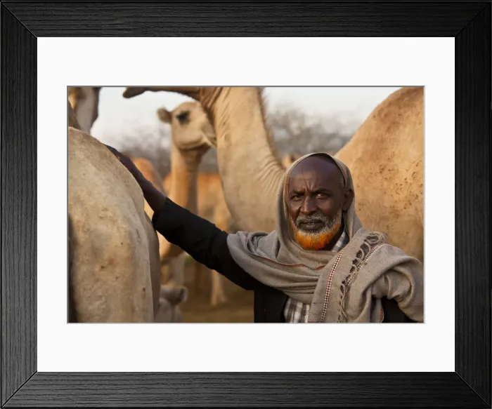 Framed Print : Isiolo, Northern Kenya. A traditional Somali nomadic herdsmen Framed Print : Isiolo, Northern Kenya. A traditional Somali nomadic herdsmen