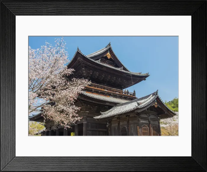 Framed Print : Nanzenji Temple with blooming cherry tree, Kyoto, Japan Framed Print : Nanzenji Temple with blooming cherry tree, Kyoto, Japan