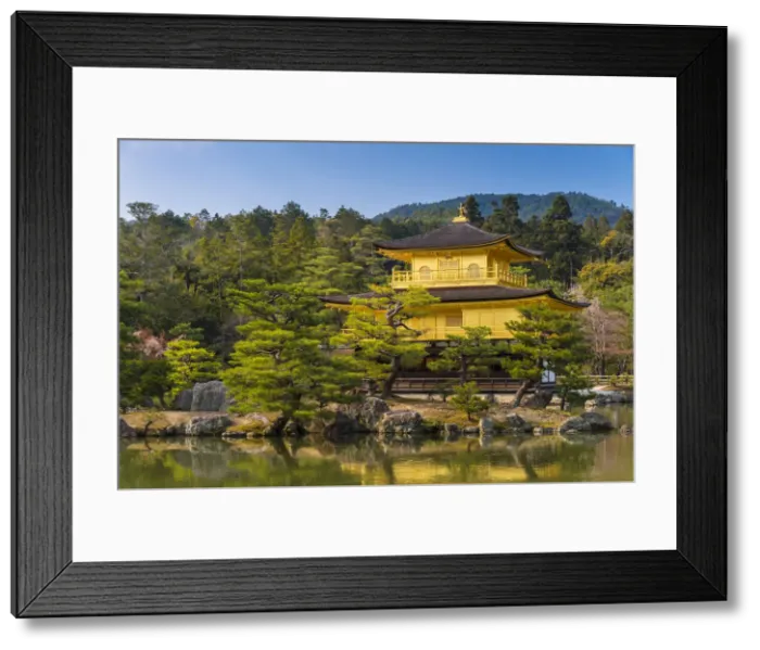 Framed Print : Kinkaku-ji or Temple of the Golden Pavilion, Kyoto, Japan Framed Print : Kinkaku-ji or Temple of the Golden Pavilion, Kyoto, Japan