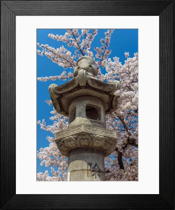 Framed Print : Japanese Granite Lantern with blooming cherry tree behind, Kyoto, Japan Framed Print : Japanese Granite Lantern with blooming cherry tree behind, Kyoto, Japan