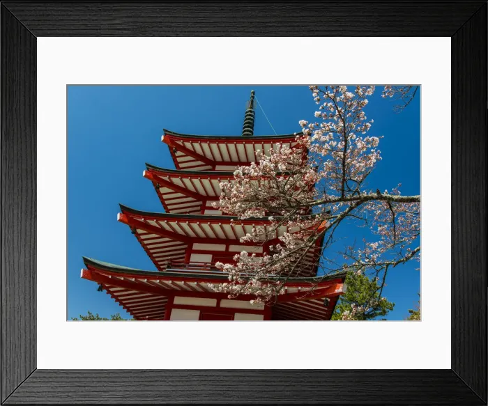 Framed Print : Chureito pagoda with blooming cherry tree, Fujiyoshida, Yamanashi Prefecture, Japan Framed Print : Chureito pagoda with blooming cherry tree, Fujiyoshida, Yamanashi Prefecture, Japan