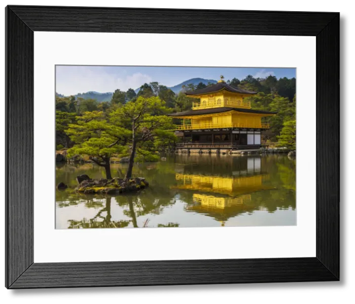 Framed Print : Kinkaku-ji or Temple of the Golden Pavilion, Kyoto, Japan Framed Print : Kinkaku-ji or Temple of the Golden Pavilion, Kyoto, Japan