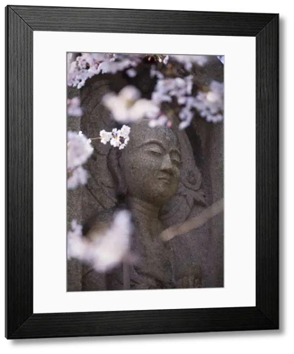 Framed Print : Statue and cherry blossom at Shofuku-ji Temple, Fukuoka, Kyushu, Japan Framed Print : Statue and cherry blossom at Shofuku-ji Temple, Fukuoka, Kyushu, Japan