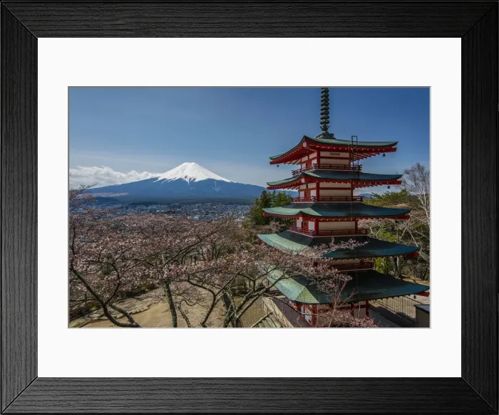 Framed Print : Chureito pagoda with blooming cherry trees and Mount Fuji in the background, Fujiyoshida Framed Print : Chureito pagoda with blooming cherry trees and Mount Fuji in the background, Fujiyoshida