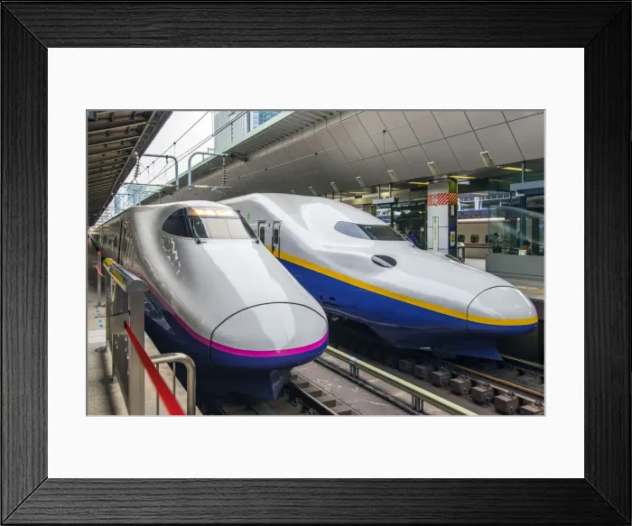 Framed Print : Shinkansen high speed trains, Tokyo railway station, Tokyo, Japan Framed Print : Shinkansen high speed trains, Tokyo railway station, Tokyo, Japan