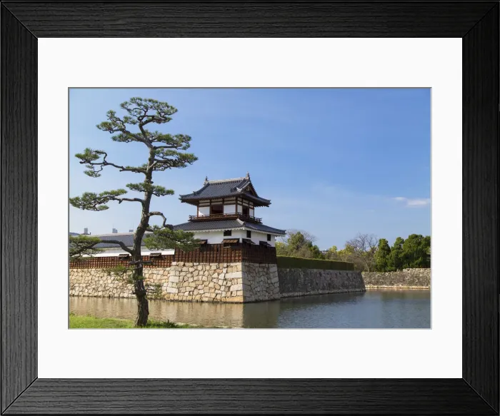Framed Print : Tower and moat of Hiroshima castle, Hiroshima, Hiroshima Prefecture, Japan Framed Print : Tower and moat of Hiroshima castle, Hiroshima, Hiroshima Prefecture, Japan