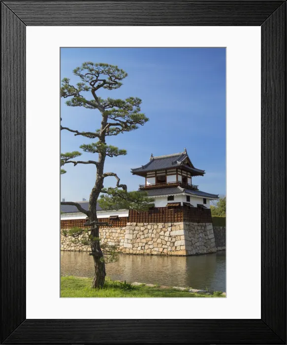 Framed Print : Tower and moat of Hiroshima castle, Hiroshima, Hiroshima Prefecture, Japan Framed Print : Tower and moat of Hiroshima castle, Hiroshima, Hiroshima Prefecture, Japan