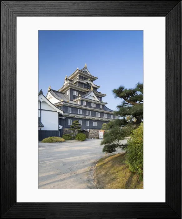 Framed Print : Okayama Castle, Okayama, Okayama Prefecture, Japan Framed Print : Okayama Castle, Okayama, Okayama Prefecture, Japan