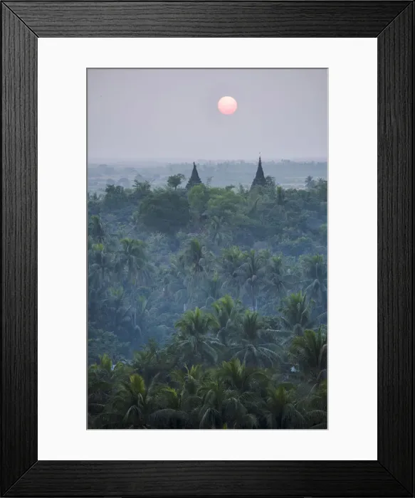 Framed Print : Mrauk-U, Rakhine state, Myanmar. Stupas at sunset with palm trees forest in the foreground Framed Print : Mrauk-U, Rakhine state, Myanmar. Stupas at sunset with palm trees forest in the foreground