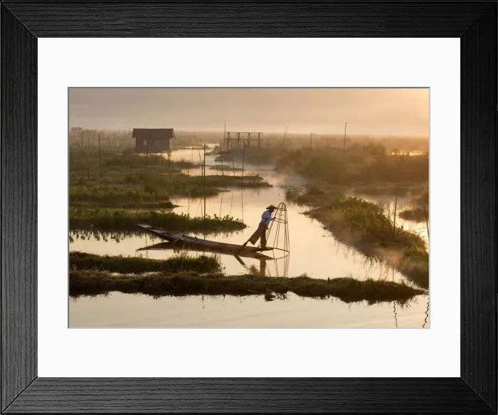 Framed Print : A fisherman rows in floating gardens, Inle Lake, Shan State, Myanmar Framed Print : A fisherman rows in floating gardens, Inle Lake, Shan State, Myanmar
