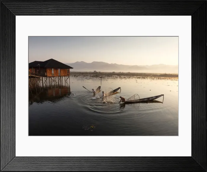 Framed Print : Intha fisherman beat water, Inle Lake, Shan State, Myanmar Framed Print : Intha fisherman beat water, Inle Lake, Shan State, Myanmar