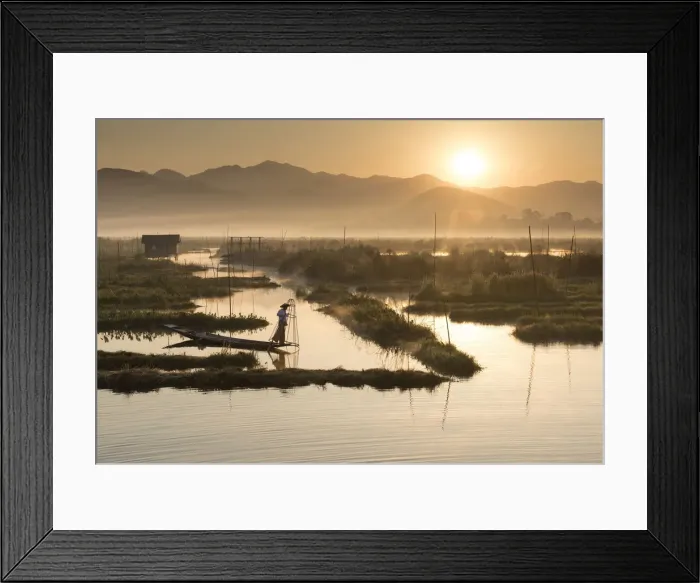 Framed Print : A fisherman rows in floating gardens at sunrise, Inle Lake, Shan State, Myanmar Framed Print : A fisherman rows in floating gardens at sunrise, Inle Lake, Shan State, Myanmar