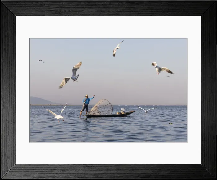 Framed Print : Intha fisherman with gulls, Lake Inle, Shan State Framed Print : Intha fisherman with gulls, Lake Inle, Shan State