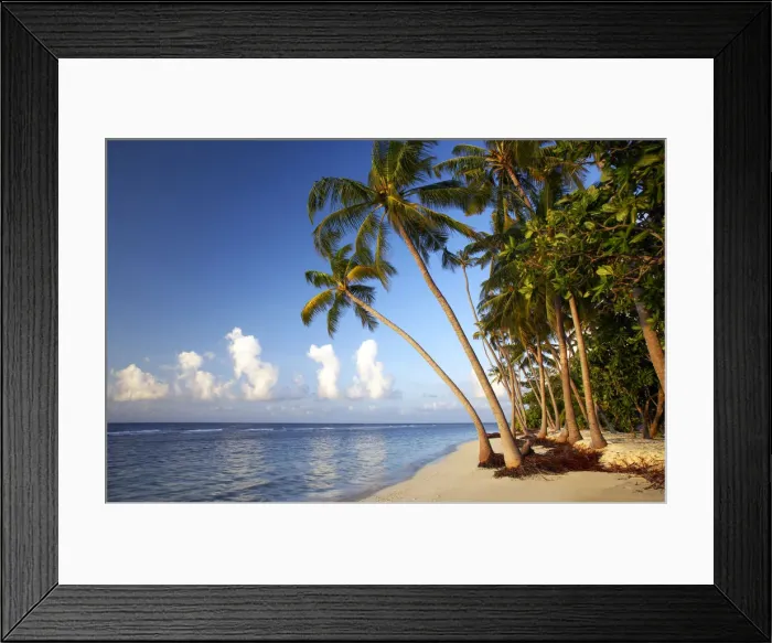 Framed Print : Deserted Palm Fringed Beach, Kuredu, Maldives Framed Print : Deserted Palm Fringed Beach, Kuredu, Maldives
