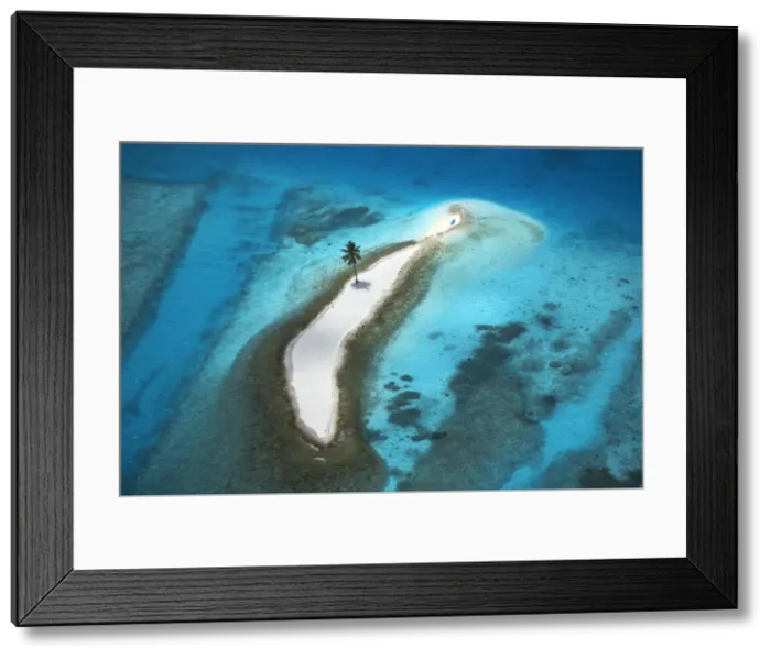 Framed Print : Aerial View over Island with Lone Palm Tree, Maldives, Indian Ocean