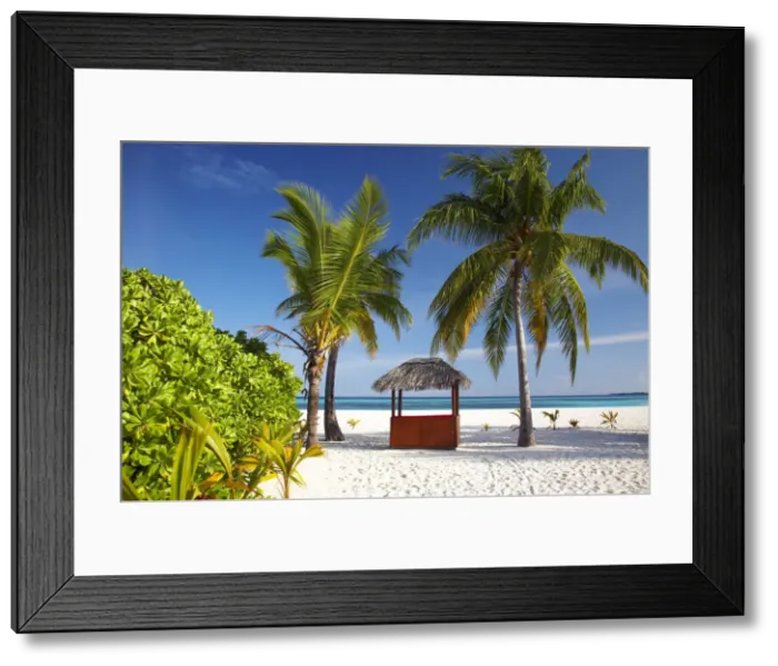 Framed Print : Thatched Beach Bar & Palm Trees, Kuredu, Maldives Framed Print : Thatched Beach Bar & Palm Trees, Kuredu, Maldives