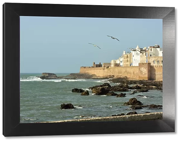 The walled city of Essaouira facing the vast Atlantic Ocean. Morocco
