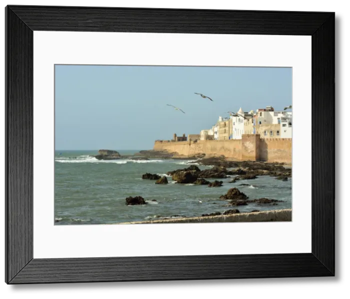 Framed Print : The walled city of Essaouira facing the vast Atlantic Ocean. Morocco