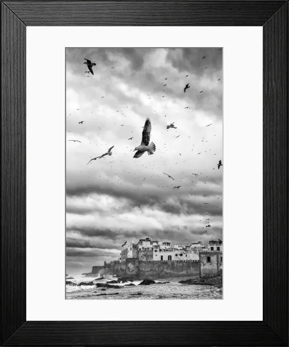 Framed Print : Storm and seagulls over Essaouira, Marrakech-Tensift-Al Haouz, Morocco Framed Print : Storm and seagulls over Essaouira, Marrakech-Tensift-Al Haouz, Morocco