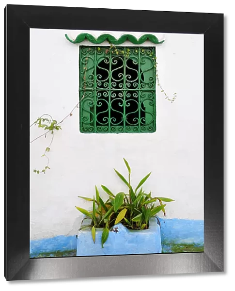 Window of the Tanger medina. Morocco