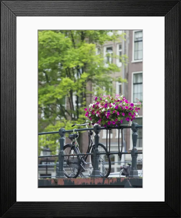 Framed Print : Bicycle on bridge, Amsterdam, Netherlands Framed Print : Bicycle on bridge, Amsterdam, Netherlands