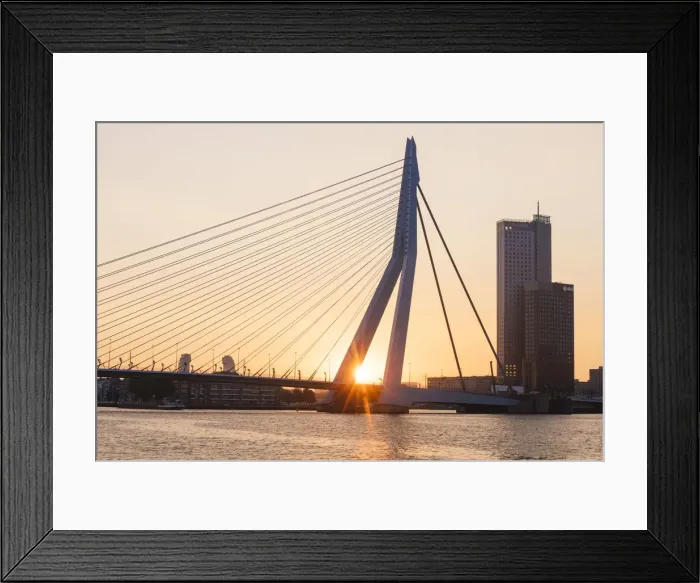 Framed Print : Erasmus Bridge, Rotterdam, Netherlands Framed Print : Erasmus Bridge, Rotterdam, Netherlands