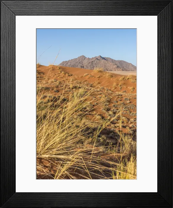 Framed Print : Africa, Namibia, Sossusvlei. Elim dune Framed Print : Africa, Namibia, Sossusvlei. Elim dune