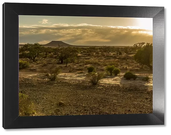 Africa, Namibia, Keetmanshop. Sunrise over a dry riverbed