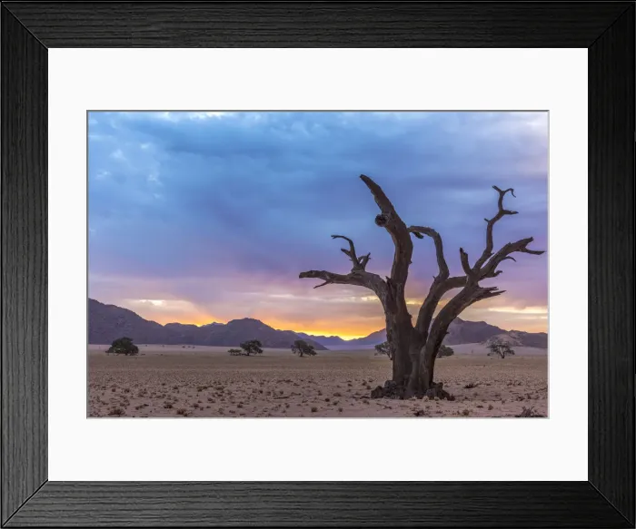 Framed Print : Africa, Namibia, Hardap region. A romantic sunset Framed Print : Africa, Namibia, Hardap region. A romantic sunset