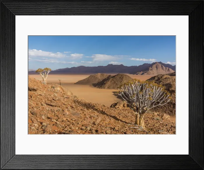 Framed Print : Africa, Namibia, Hardap region. Quiver trees and stunning landscape Framed Print : Africa, Namibia, Hardap region. Quiver trees and stunning landscape