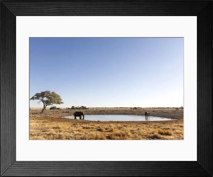 Framed Print : Lonely elephant at the waterhole in Etosha, Namibia, Africa Framed Print : Lonely elephant at the waterhole in Etosha, Namibia, Africa