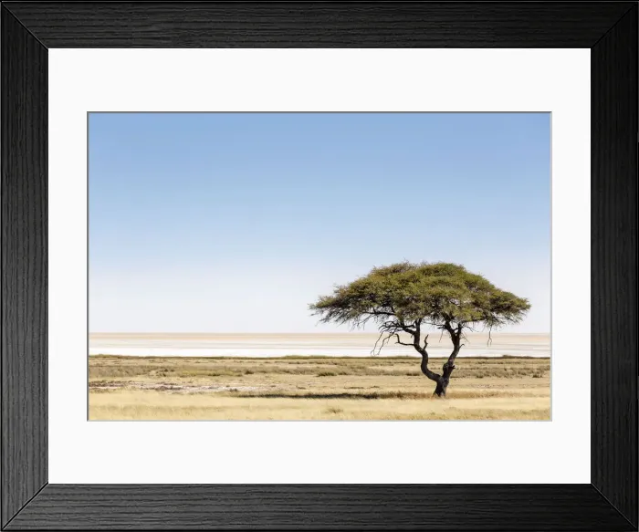 Framed Print : Etosha Pan, Namibia, Africa. Lonely tree Framed Print : Etosha Pan, Namibia, Africa. Lonely tree