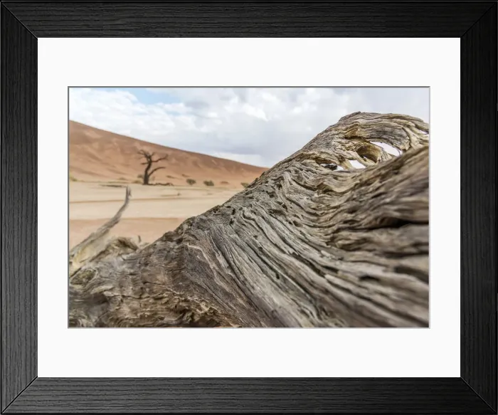 Framed Print : Africa, Namibia, Sossusvlei area. Dead vlei, close up of fallen dead tree Framed Print : Africa, Namibia, Sossusvlei area. Dead vlei, close up of fallen dead tree