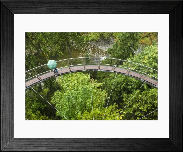 Framed Print : Tourists in Capilano Suspension Bridge and Park, Vancouver, British Columbia, Canada Framed Print : Tourists in Capilano Suspension Bridge and Park, Vancouver, British Columbia, Canada