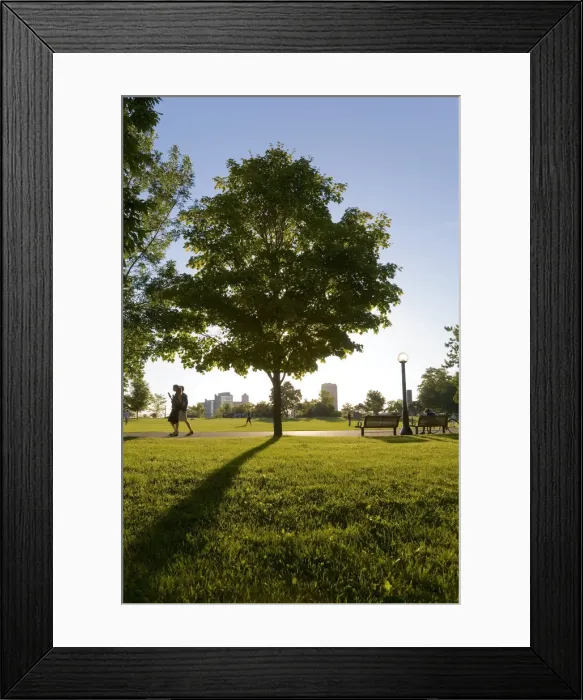 Framed Print : Majors Hill Park, Ottawa, Ontario, Canada Framed Print : Majors Hill Park, Ottawa, Ontario, Canada
