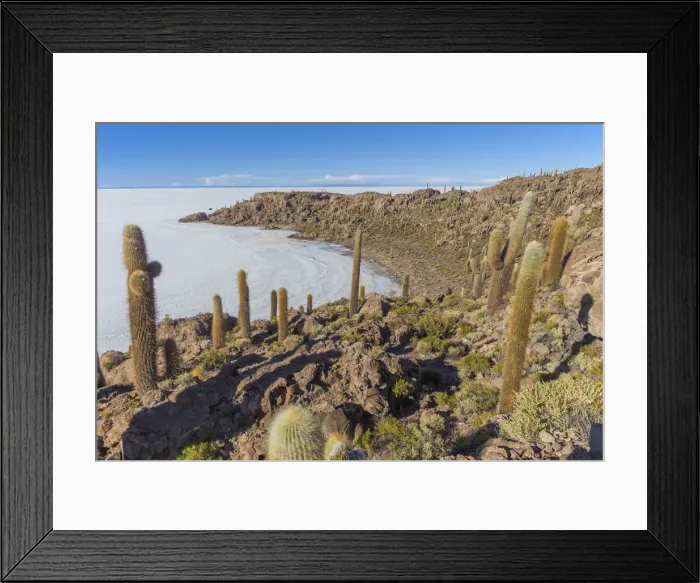 Framed Print : Incahuasi island, Uyuni salt flat, Salar de Uyuni, Potosi department, Bolivia