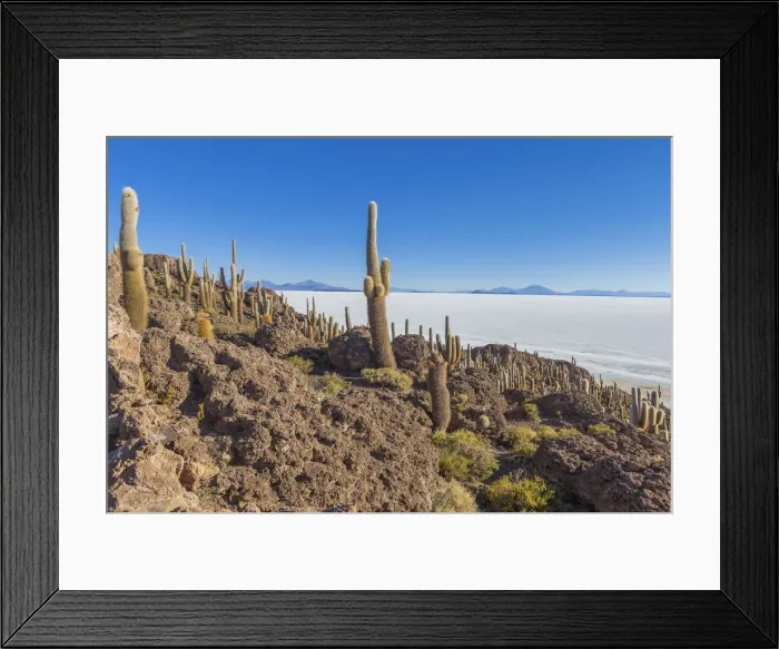 Framed Print : Incahuasi island, Uyuni salt flat, Salar de Uyuni, Potosi department, Bolivia Framed Print : Incahuasi island, Uyuni salt flat, Salar de Uyuni, Potosi department, Bolivia