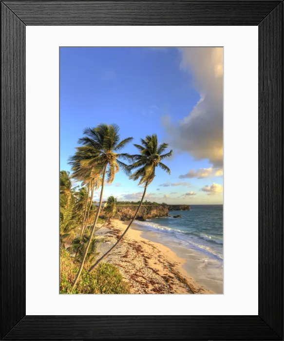 Framed Print : Caribbean, Barbados, Bottom Bay Beach Framed Print : Caribbean, Barbados, Bottom Bay Beach