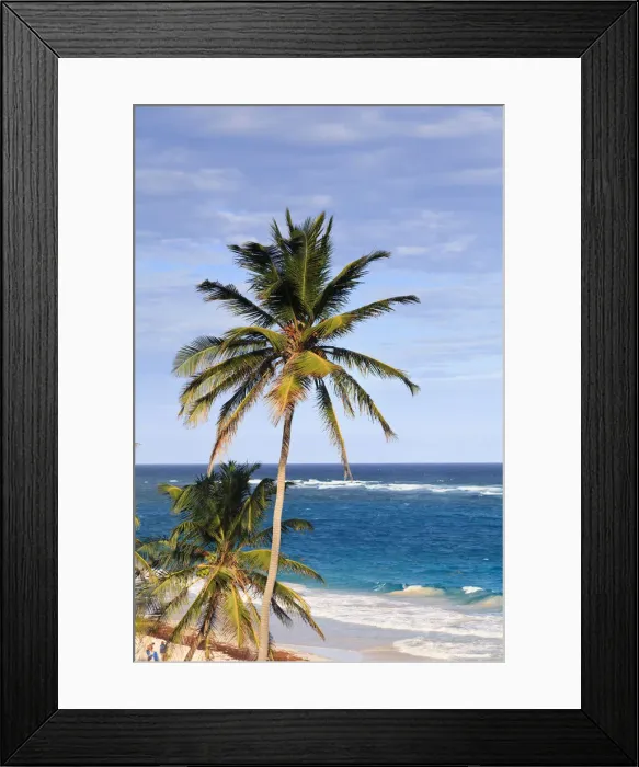 Framed Print : Caribbean, Barbados, Crane Beach Framed Print : Caribbean, Barbados, Crane Beach