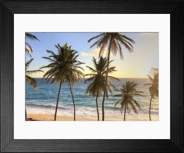 Framed Print : Caribbean, Barbados, Bottom Bay Beach Framed Print : Caribbean, Barbados, Bottom Bay Beach