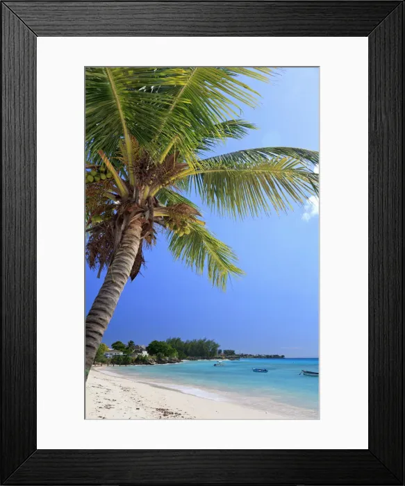 Framed Print : Caribbean, Barbados, Oistins, Miami Beach Framed Print : Caribbean, Barbados, Oistins, Miami Beach