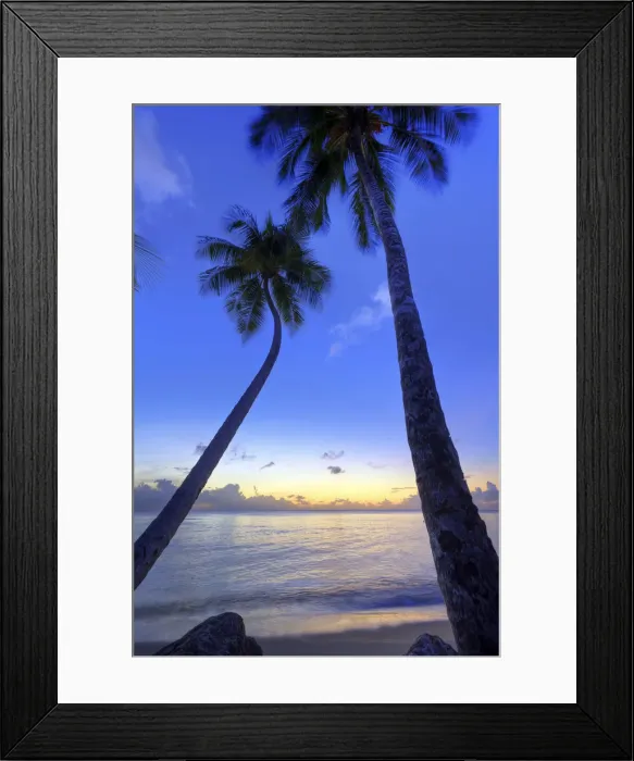 Framed Print : Caribbean, Barbados, Mullins Beach Framed Print : Caribbean, Barbados, Mullins Beach