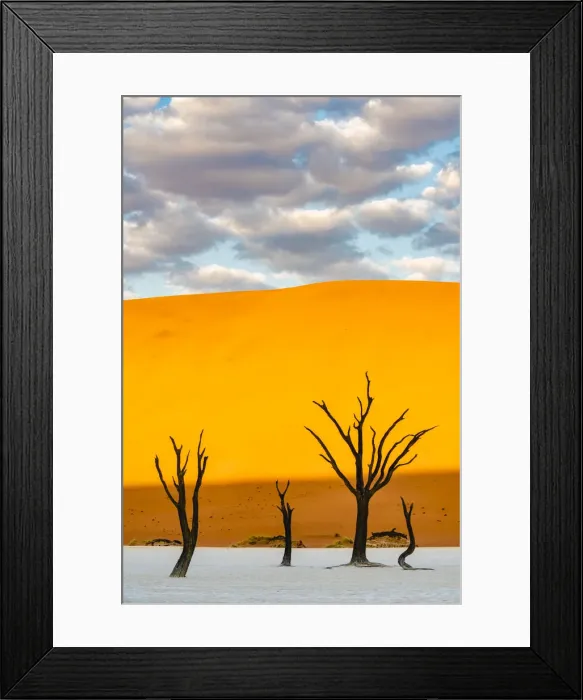 Framed Print : Deadvlei clay pan, Namib-Naukluft National Park, Namibia, Africa. Dead acacia trees Framed Print : Deadvlei clay pan, Namib-Naukluft National Park, Namibia, Africa. Dead acacia trees