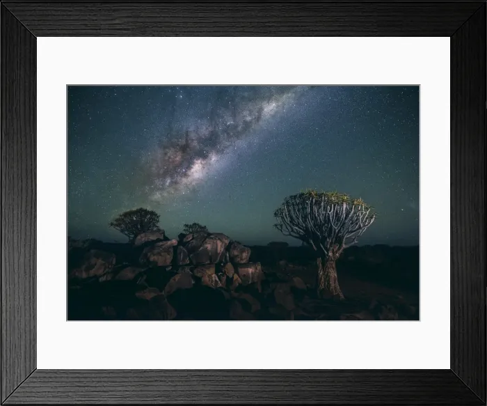 Framed Print : Quiver tree forest (Aloe dichotoma), Keetmanshoop, Namibia, Africa Framed Print : Quiver tree forest (Aloe dichotoma), Keetmanshoop, Namibia, Africa