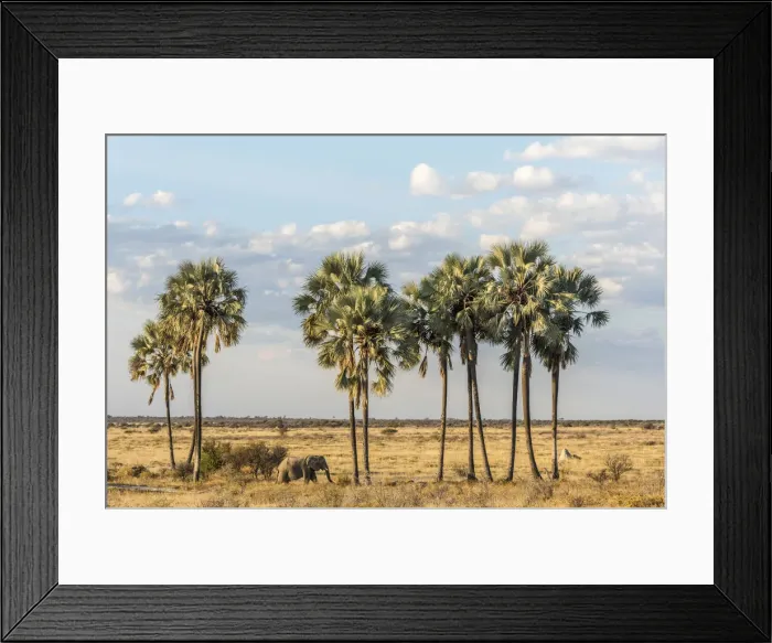 Framed Print : Africa, Namibia, Etosha National park. Elephants